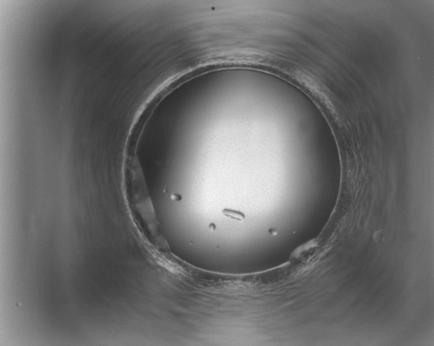 X0000072521085200607290152