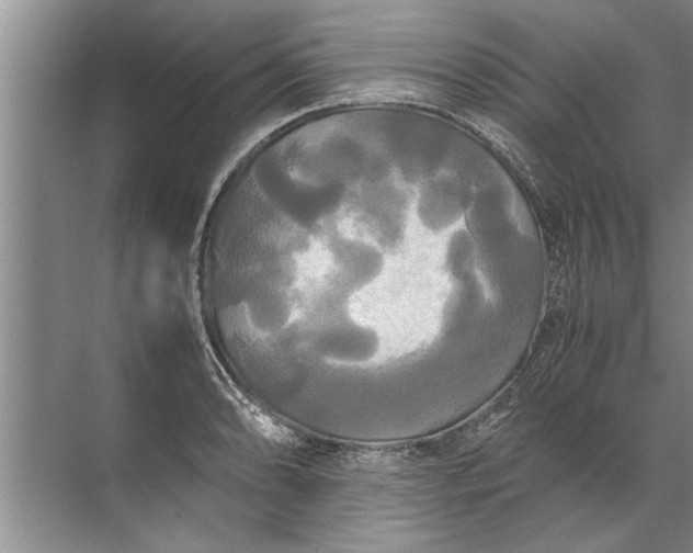 X0000072521086200607290152