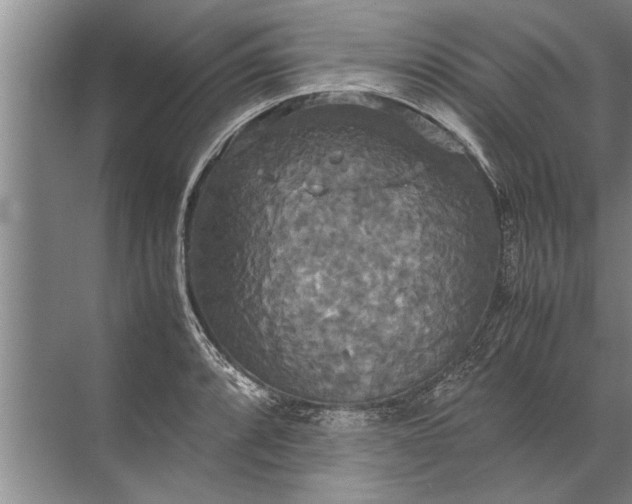 X0000072521088200607290152