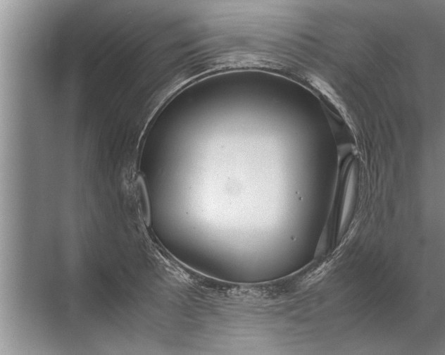 X0000072521089200607290152