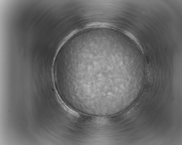 X0000072521090200607290152