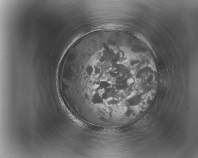 X0000072521091200607290152