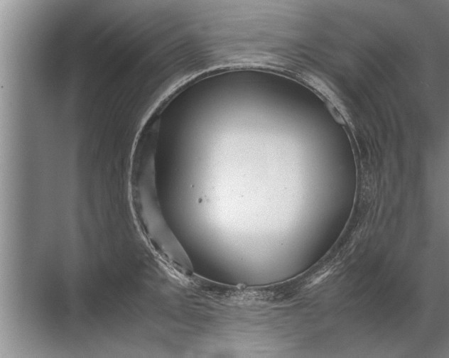 X0000072521093200607290152