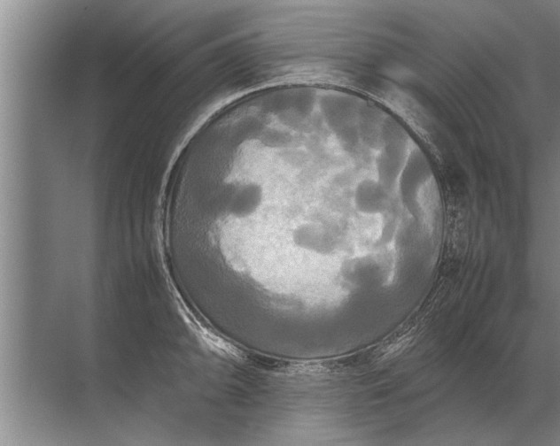 X0000072521094200607290152