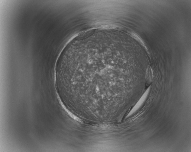 X0000072521095200607290152