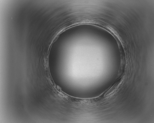 X0000072521097200607290152