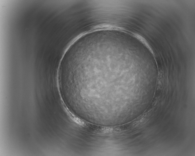 X0000072521098200607290152