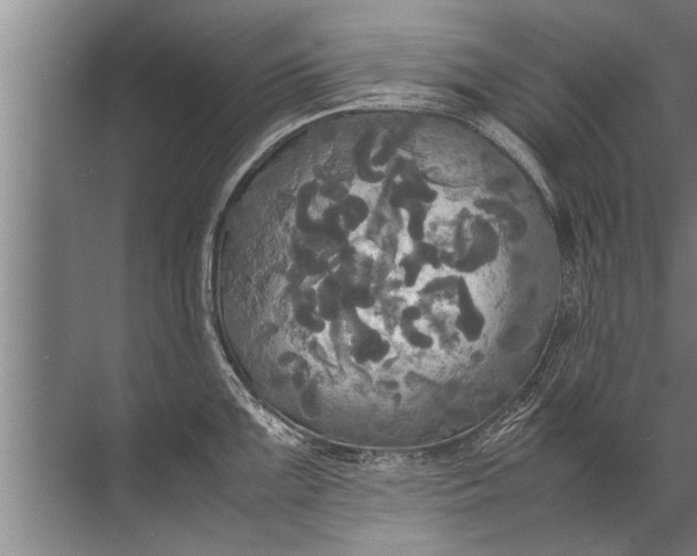 X0000072521099200607290152