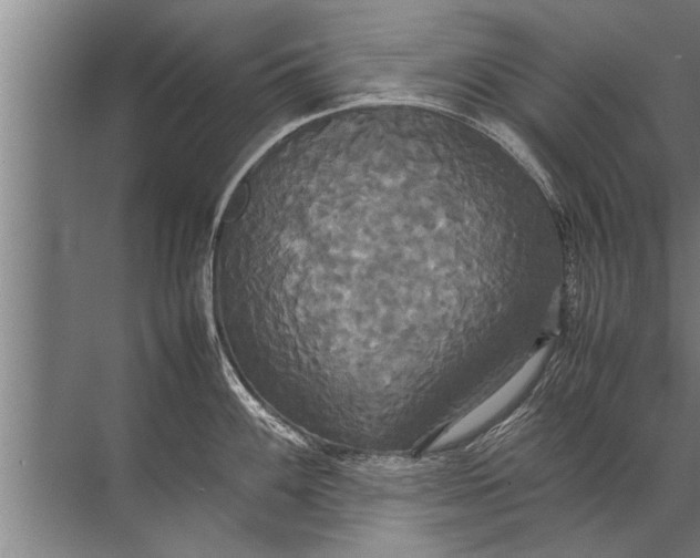 X0000072521100200607290152