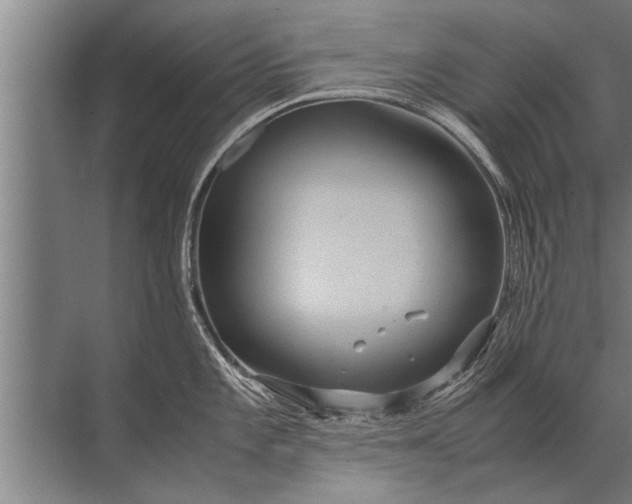 X0000072521101200607290152