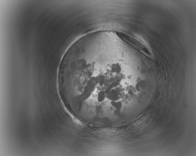 X0000072521103200607290152