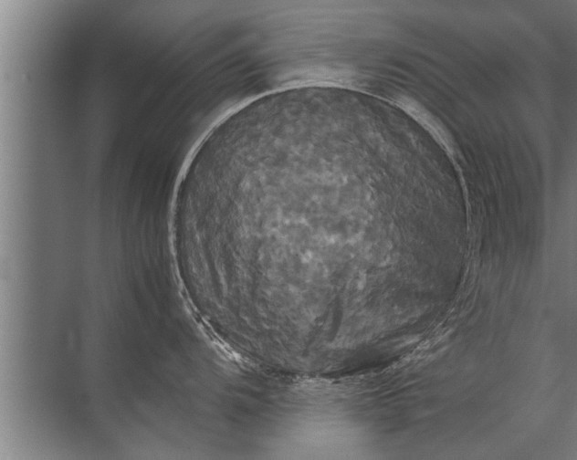 X0000072521104200607290152