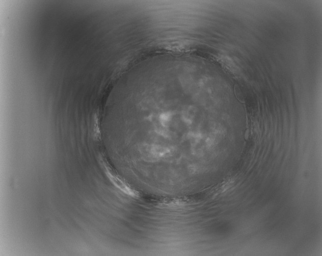 X0000072521106200607290151