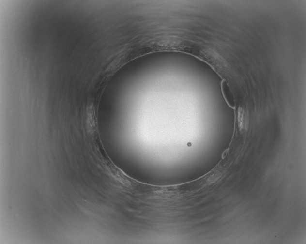 X0000072521107200607290151