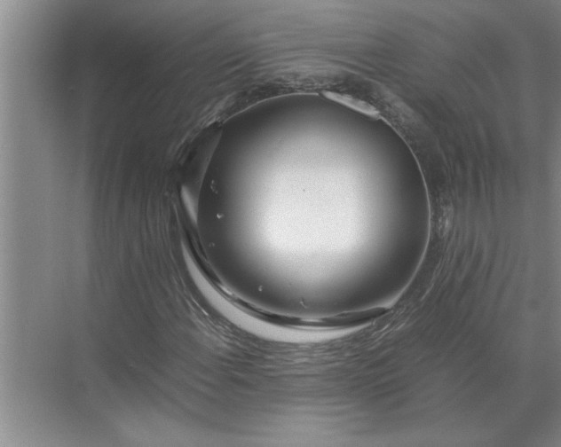 X0000072521108200607290151