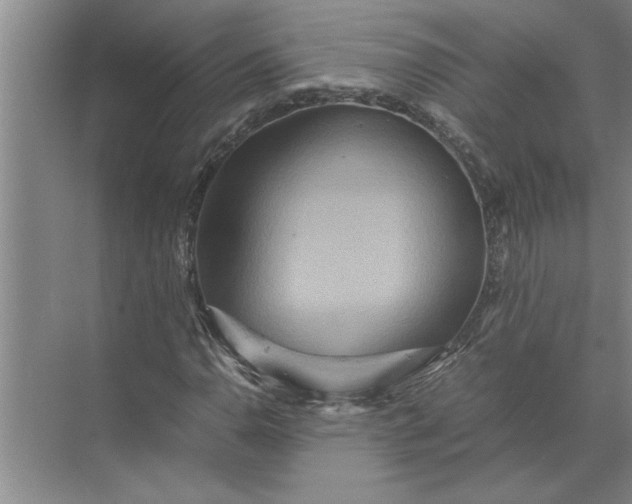 X0000072521110200607290151