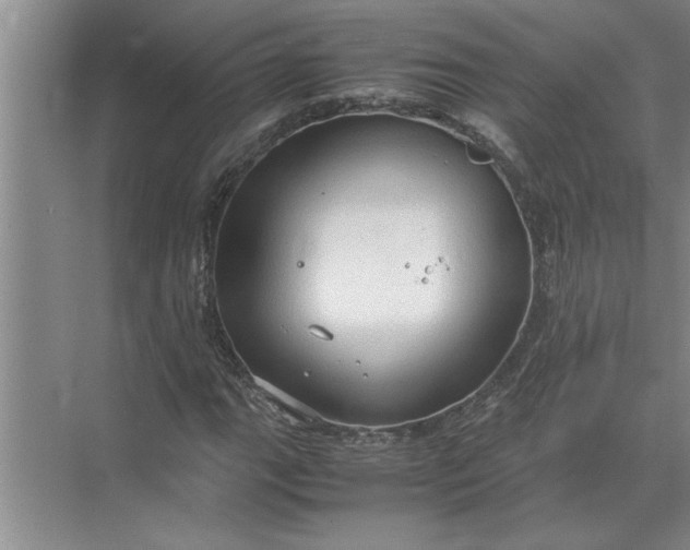 X0000072521111200607290151