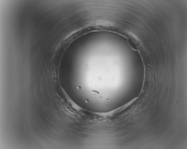 X0000072521112200607290151