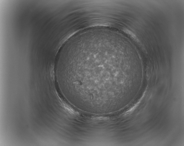 X0000072521113200607290151