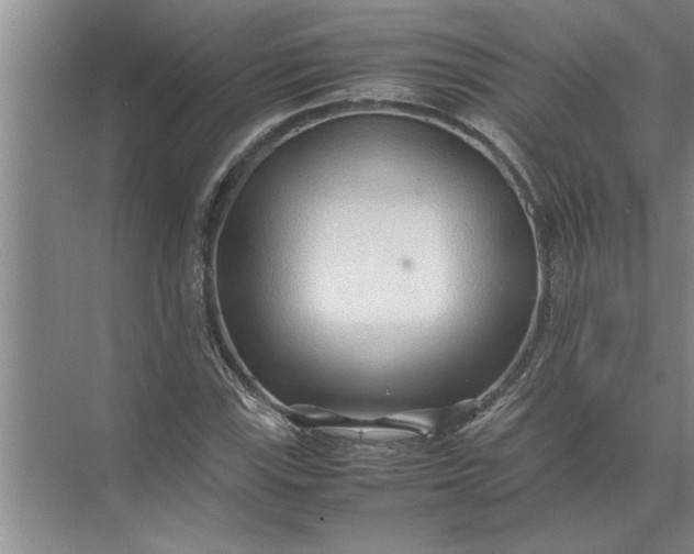 X0000072521115200607290151