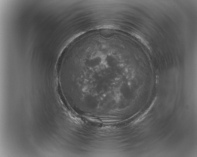 X0000072521117200607290151