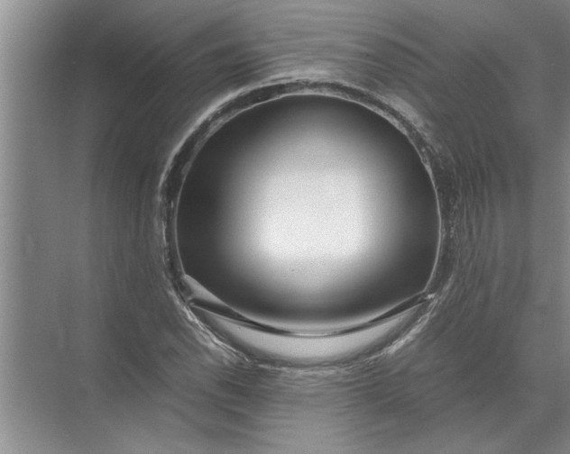 X0000072521118200607290151