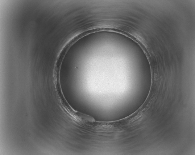 X0000072521119200607290151