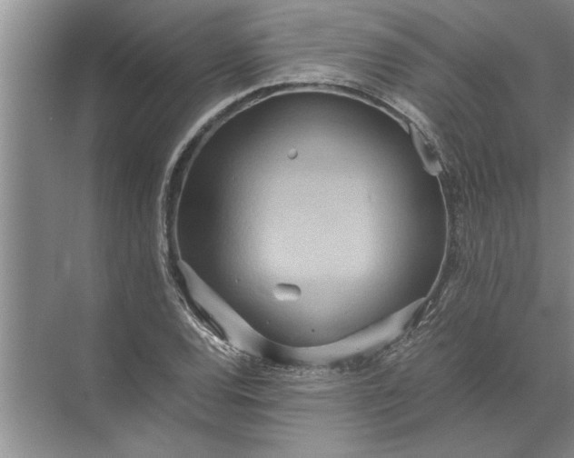 X0000072521120200607290151