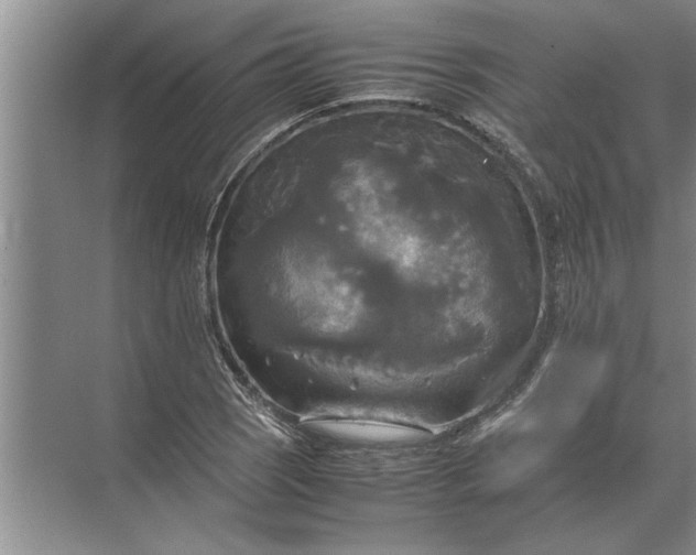 X0000072521121200607290151