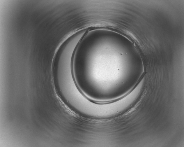 X0000072521122200607290151