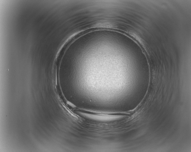 X0000072521123200607290151