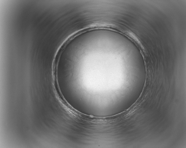 X0000072521124200607290151