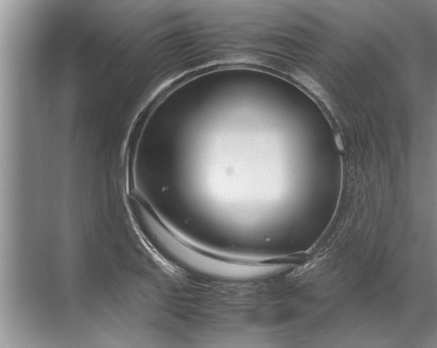 X0000072521127200607290151