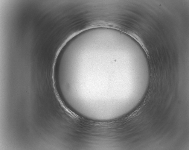 X0000072521128200607290151