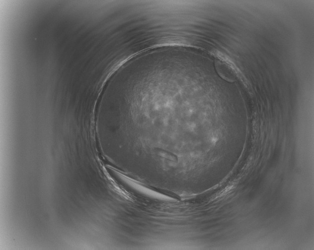 X0000072521129200607290151