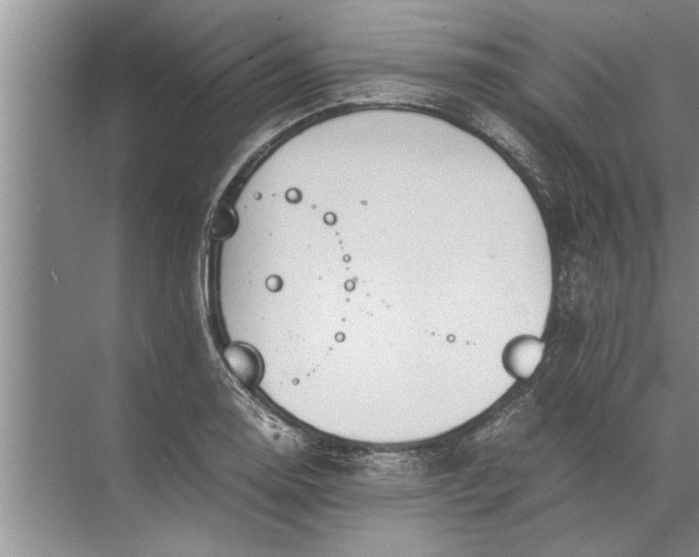 X0000072521130200607290151