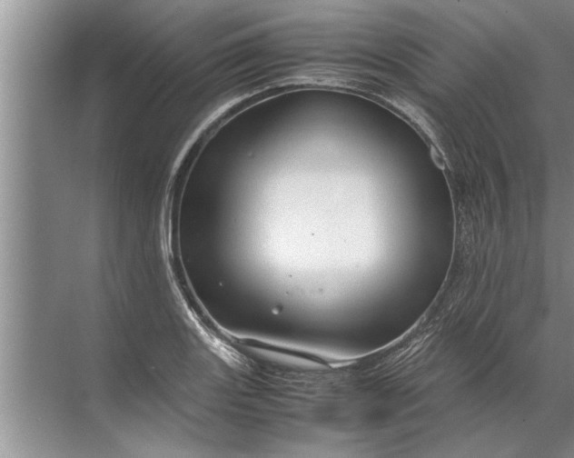 X0000072521131200607290151