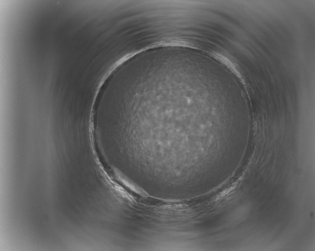 X0000072521133200607290151