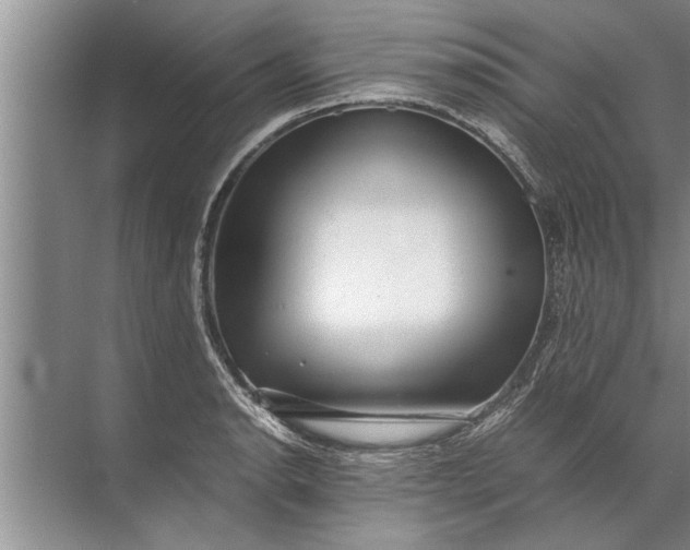 X0000072521134200607290151