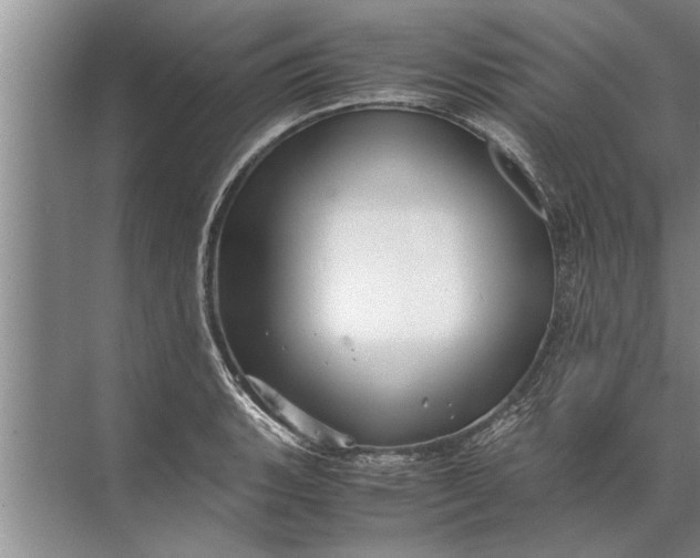 X0000072521135200607290151