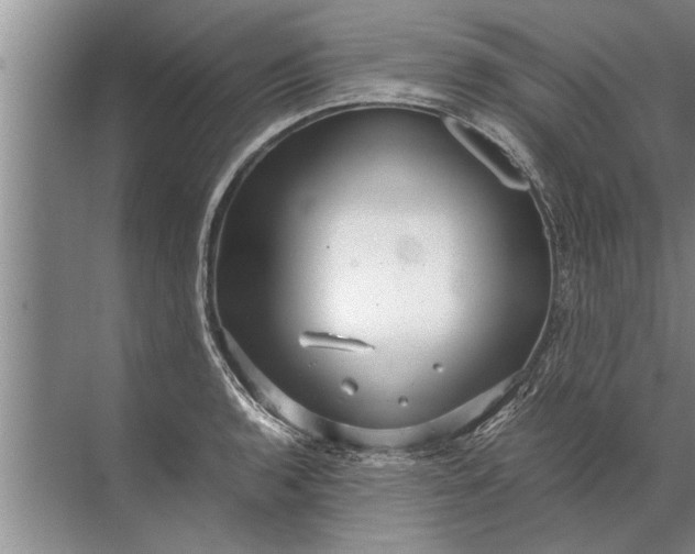 X0000072521136200607290151