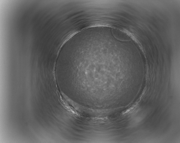 X0000072521137200607290151