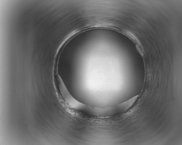 X0000072521138200607290151