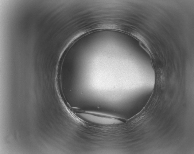 X0000072521139200607290151