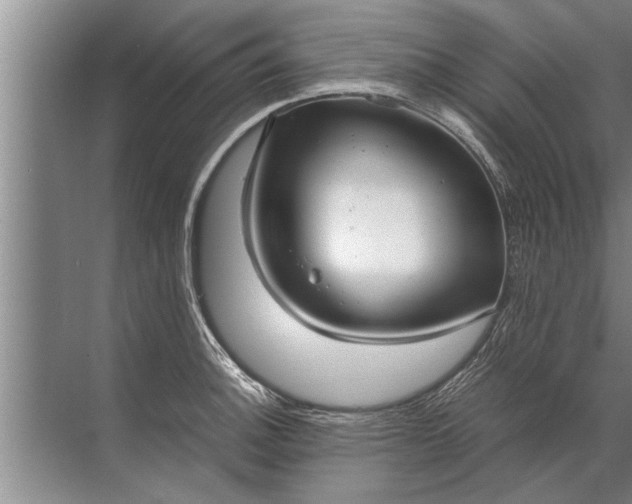 X0000072521140200607290151