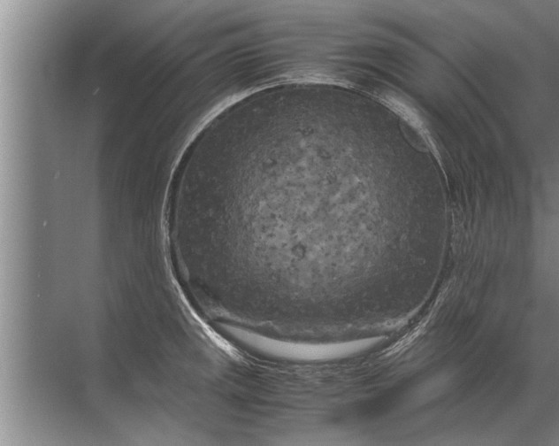 X0000072521141200607290151