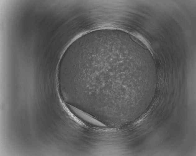 X0000072521142200607290151