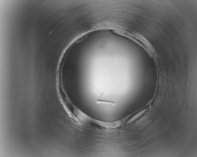 X0000072521144200607290151