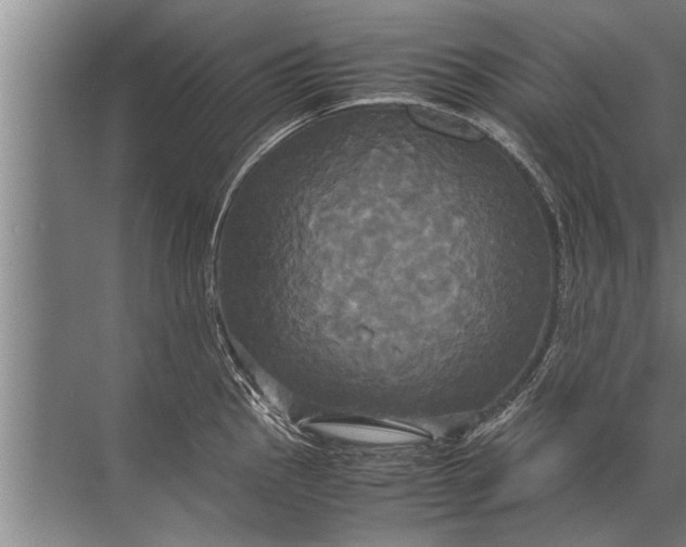 X0000072521145200607290151