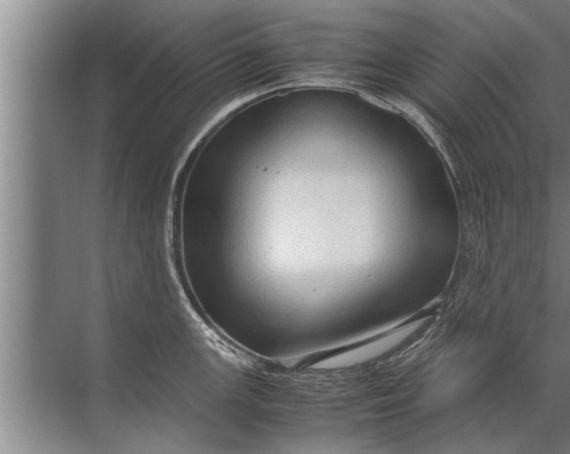 X0000072521147200607290152